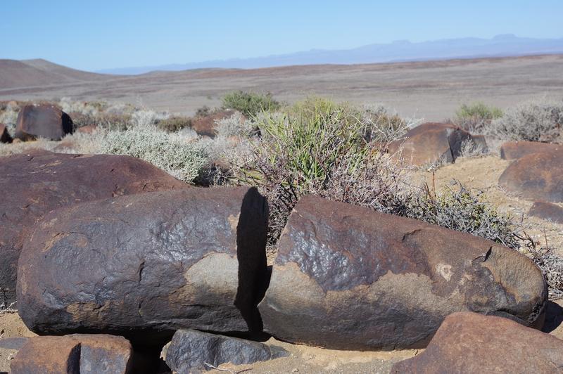 0 Bedroom Property for Sale in Calvinia Rural Northern Cape